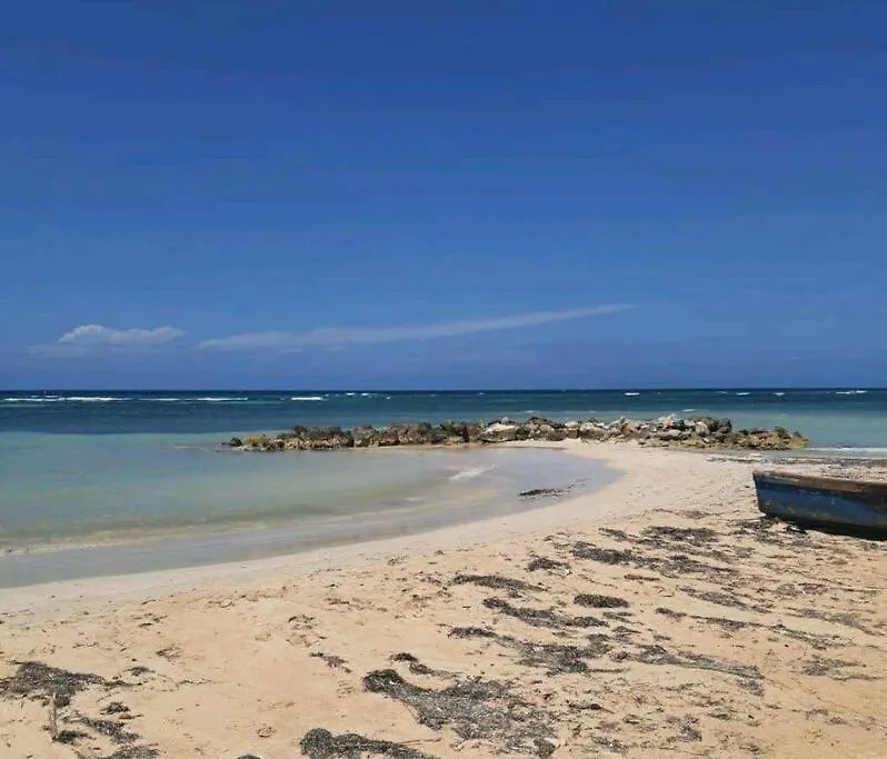 Cozy Apartment W/Ocean View, Pool & Beach Access Montego Bay
