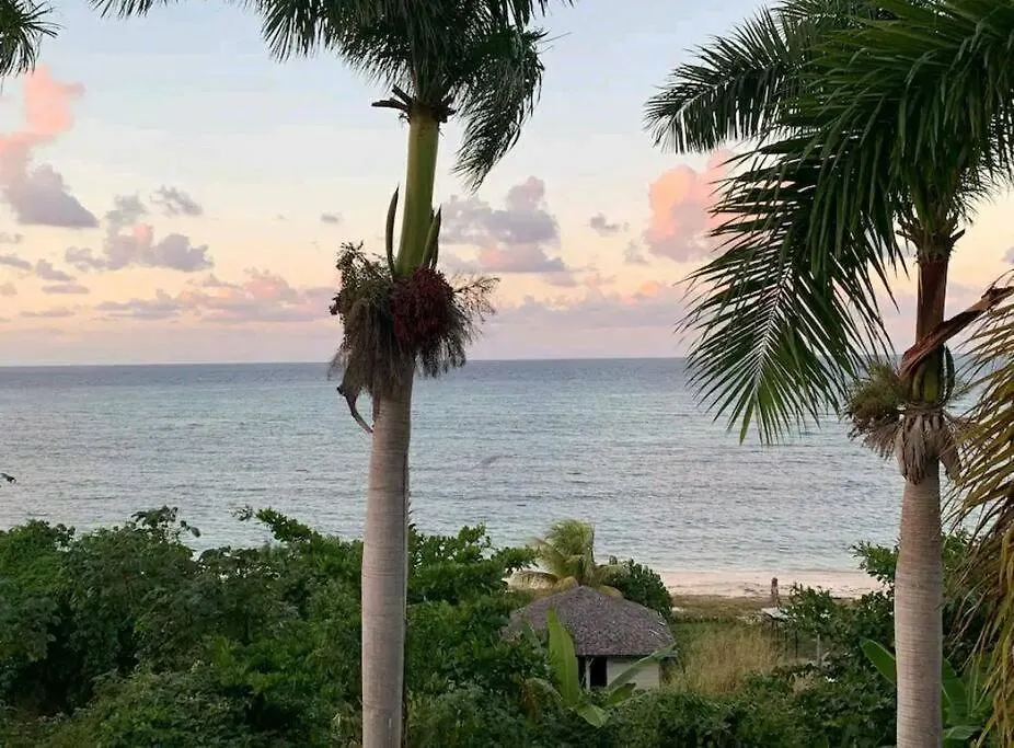 Cozy Apartment W/Ocean View, Pool & Beach Access Montego Bay